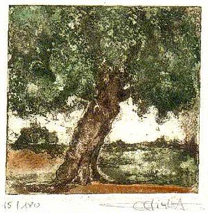 "Knorriger Baum" (135) 